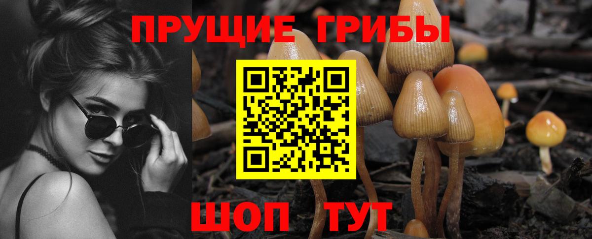 Галлюциногенные грибы Magic Shrooms  Вход с VPN  купить наркоту  Дубна 
